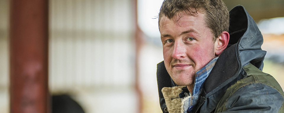 Обучение молодых фермеров