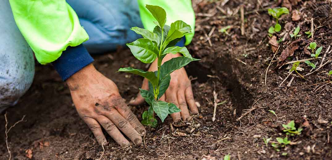 Поможем фермерам внедрить методы восстановительного сельского хозяйства