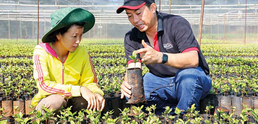 Отслеживаем происхождение кофе вплоть до фермерских хозяйств