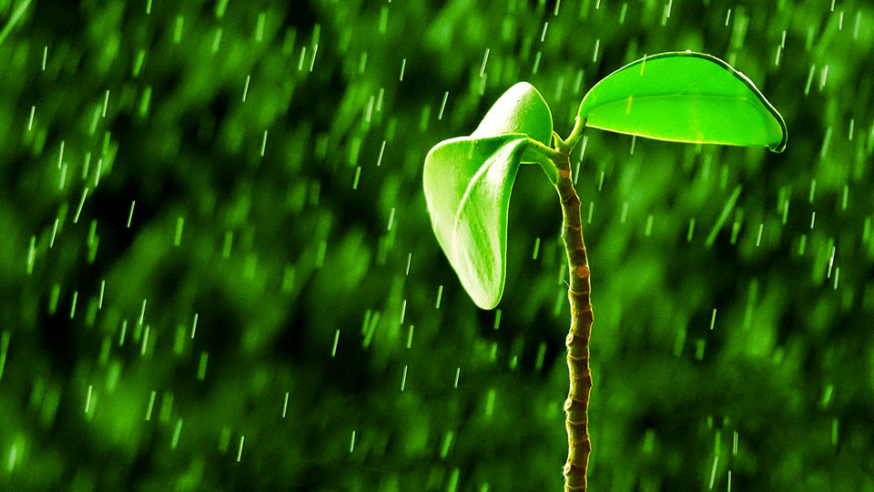 Сохранение водных ресурсов