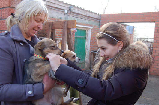 «Нестле» помогает приюту для животных